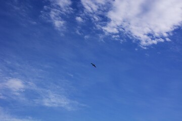 Background material / Blue sea, blue sky and white clouds.