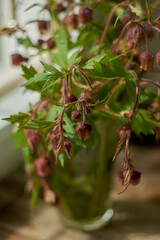 Beautiful photo of wildflowers in a glass with a blurred background.