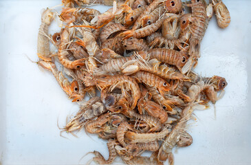 Prawns on a white background of a street counter