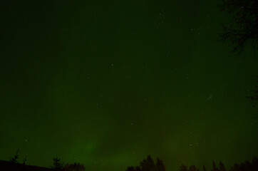 Naklejka premium majestic aurora borealis on autumn star filled night sky