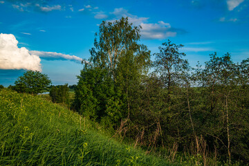 Morning awakening of the sun