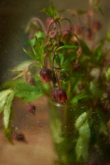 Beautiful photo of wildflowers in a glass with a blurred background.