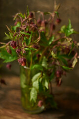 Beautiful photo of wildflowers in a glass with a blurred background.