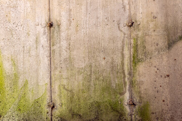 Abstract concrete and algae texture