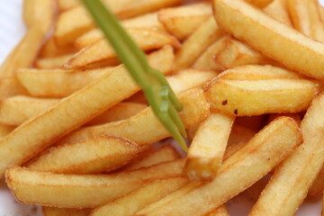 french fries on a white plate
