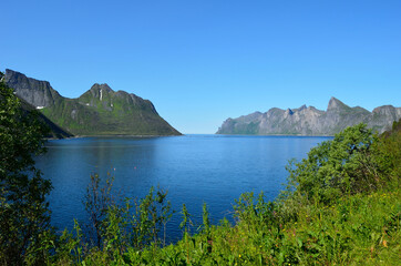 Naklejka na ściany i meble majestic mountain and blue summer fjord landscape senja island