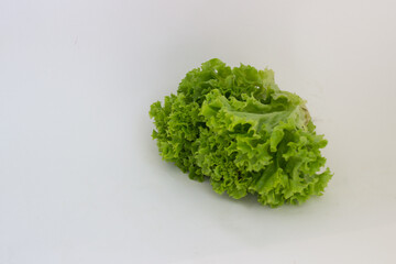green lettuce leaves on a white background