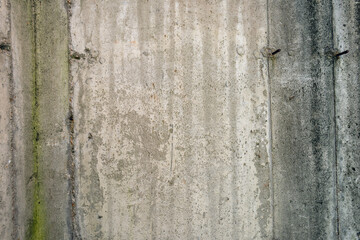 Abstract concrete and algae texture