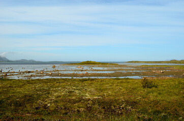 green field and majestic ocean landscape in summer