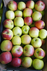 Organic apples in a cardboard box