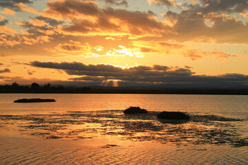 Sunset in Palavas les Flots, Etang du Grec, Beautiful Pink flamingos in Camargue pond, botanical and zoological nature reserve in France