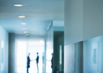 Silhouette of businessmen shaking hands in office
