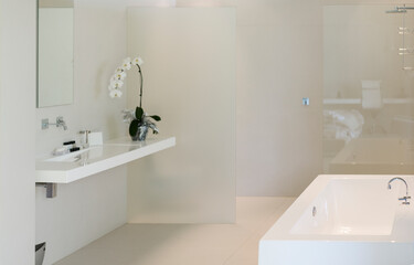 Fototapeta na wymiar Orchid, sink and bathtub in modern bathroom