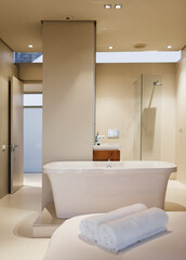 Bathtub, sink and shower in modern bathroom