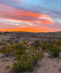 sunset in the desert