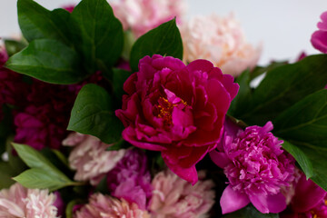 the flowers are pink peonies . spring may flowers