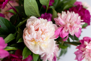 pink peonies background. spring may flowers