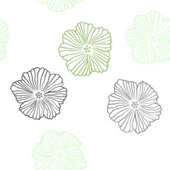 Light Green vector seamless elegant pattern with flowers.