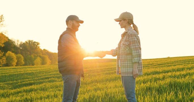 Caucasian man farmer standing in field with tablet device in hands and showing something to woman on screen. Couple of farmers in margin of green wheat making deal and shaking hands in sunlight.