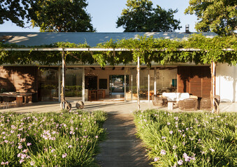 Wooden walkway through garden to modern house