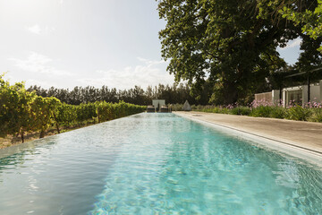 Luxury lap pool among vineyard