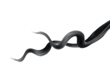 Black hair on white background, isolated. Thin curly threads