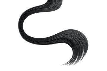 Black hair isolated on white background. Long ponytail