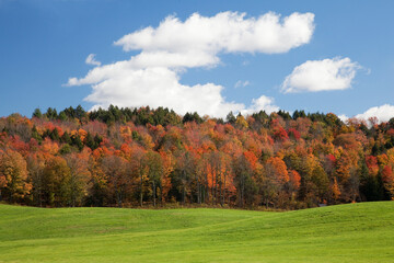 Autumn trees, Adirondacks, New York, United States