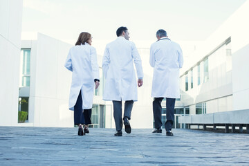 Doctors walking on rooftop