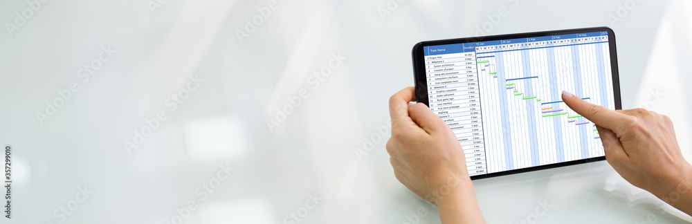 Poster woman using gantt chart schedule software