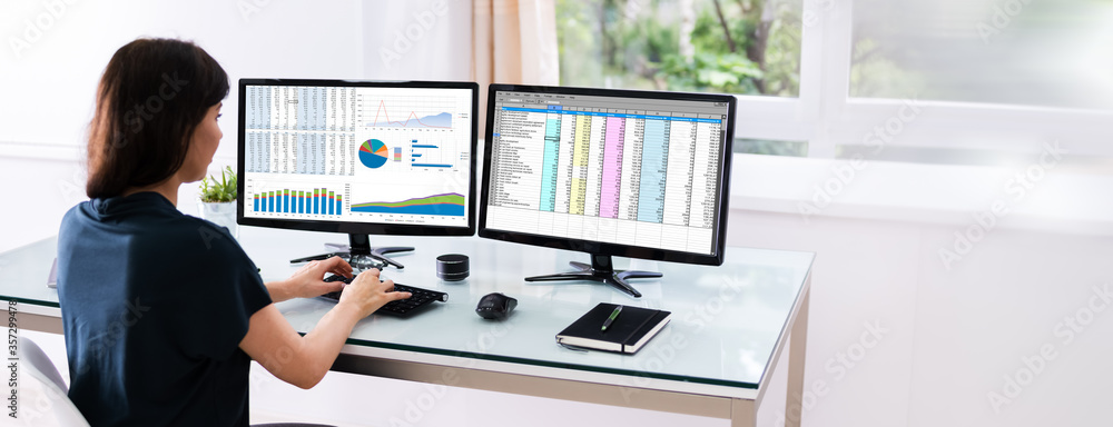 Poster analyst employee working with spreadsheet