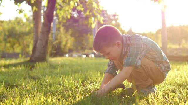 Summer garden. Little helper in garden planting flowers with shovel. Digging soil for green plants