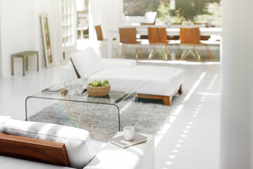 Sofas, coffee table and rug in modern living room