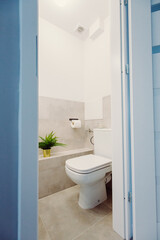 Modern bright toilet in a new apartment
