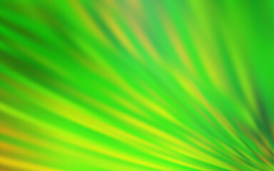 Light Green vector texture with colored lines.