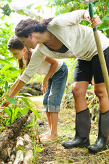 Woman and girl inspecting at plants growing in garden