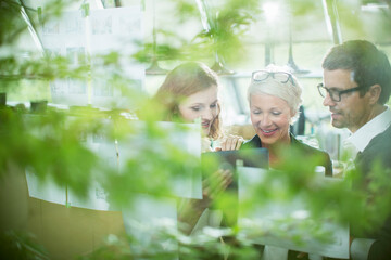 Business people working behind foliage in office