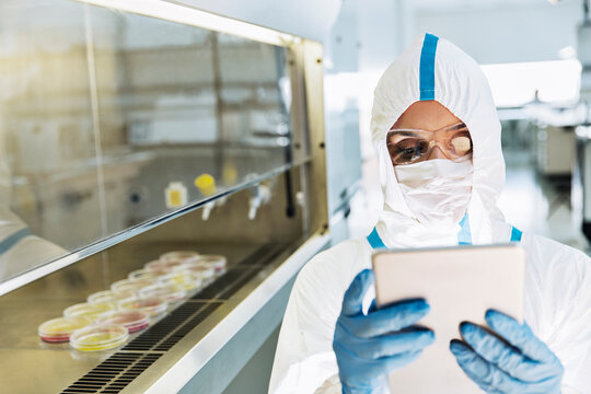 Scientist In Clean Suit Using Digital Tablet In Laboratory