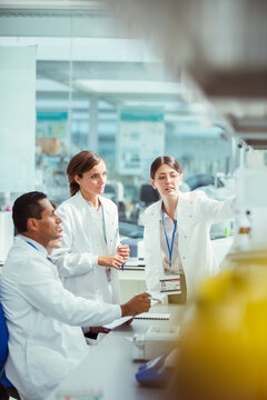 Scientists working in laboratory