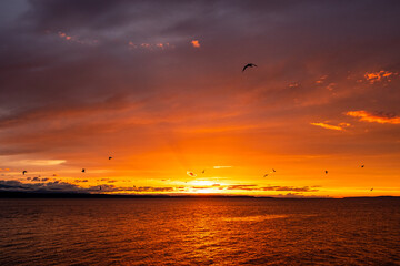 The golden rays of sunset over the ocean water