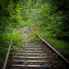 Alte Bahngleise im Wald  