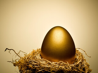 Golden egg on gold nest still life