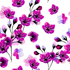 A seamless background of sakura. Vector illustration