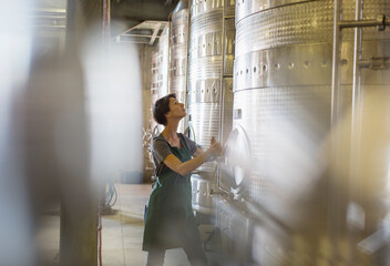Vintner checking stainless steel vat in winery cellar