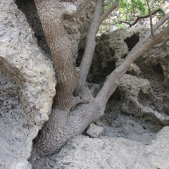 Путешествия