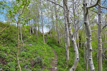 Fototapeta premium Butterfield Canyon hiking path views of the Oquirrh range along the Wasatch Front Rocky Mountains, by Kennecott Rio Tinto Copper mine, Tooele and Salt Lake City spring. Utah, United States.