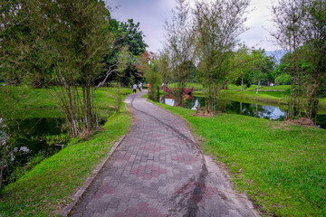 selective focus and partially blur of Taiping Lake Gardens which is located in Malaysia and one quarter of the country's tourist attractions. Reflection in water.