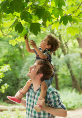 Obraz premium Father carrying son on shoulders reaching for tree leaves
