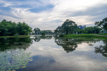 Fototapeta premium selective focus and partially blur of Taiping Lake Gardens which is located in Malaysia and one quarter of the country's tourist attractions. Reflection in water.