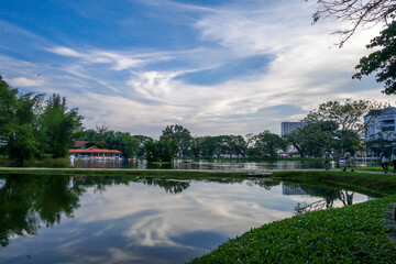 Fototapeta na wymiar selective focus and partially blur of Taiping Lake Gardens which is located in Malaysia and one quarter of the country's tourist attractions. Reflection in water.